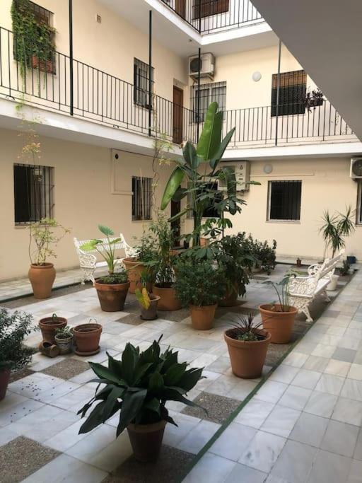 Sevilla San Bernardo Apartamento מראה חיצוני תמונה